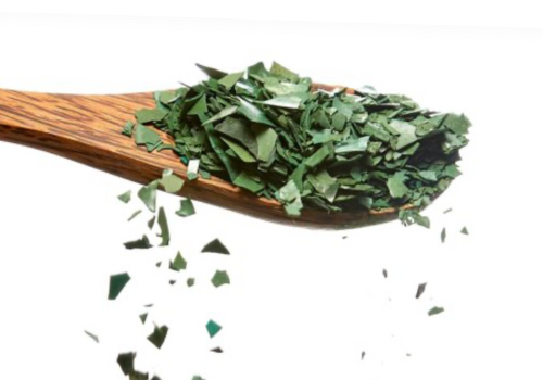 ALGAE & SEAWEED PRODUCTS